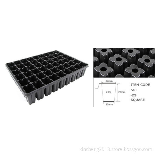 Seed Tray (54H)